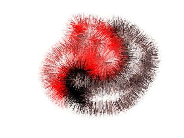 Ganggang feather remnants